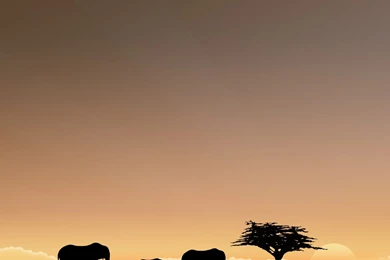 Download Africa Land Of Freedom D Desktop Wallpapers