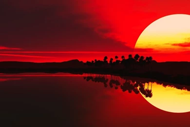 Joy Newton's Africa Collection