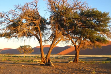 Free Wallpapers, Nature Desktop Wallpapers, Landscapes