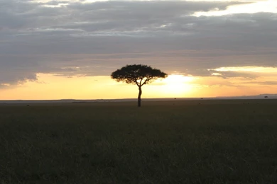 Africa Desktop Backgrounds 1920x1080