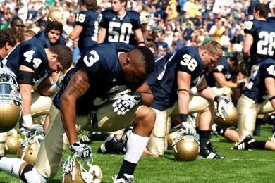 Free Urban Meyer Notre Dame Computer Desktop Wallpapers