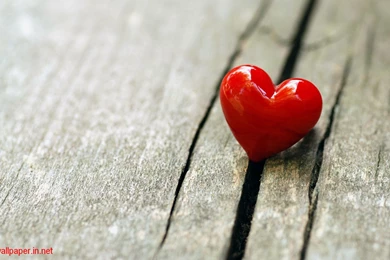 Love Wallpapers Full HD Free Download Best HD Desktop Wallpapers ...