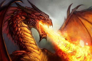 HD Fire Dragon Wallpaper.jpg