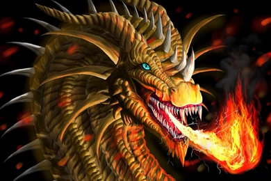 Fire Dragon Wallpapers Free Download In Ultra HD Resolution