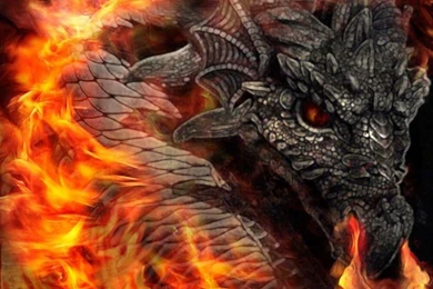 Mythical Fire Dragons   Wallpaper.