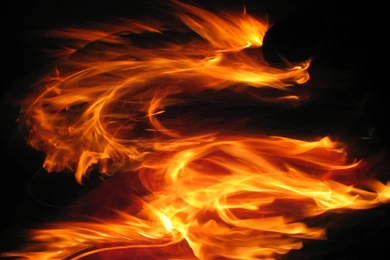 Fire Dragon Wallpapers   128974