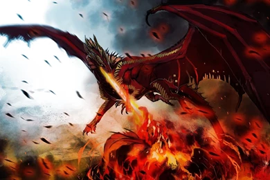 Fire Dragon Wallpapers 1920x1080 Images