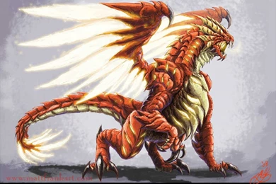 Fire Dragon Concept   Dragons Wallpapers