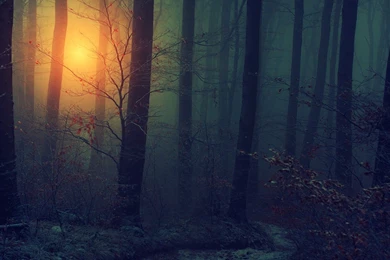 Lubee Bat Conservancy