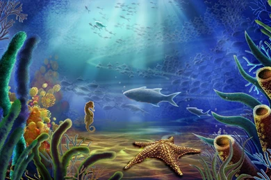 Pozadia Best Nature Wallpapers