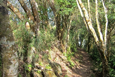 Amazing Views, Nature Wallpapers For Samsung, Hd Landscape ...