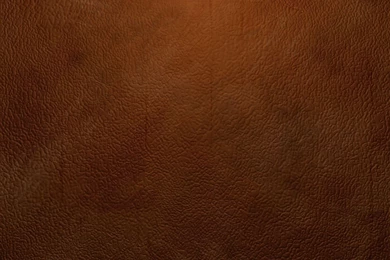 Download Texture: Leather Texture, Background, Leather Backgrounds ...
