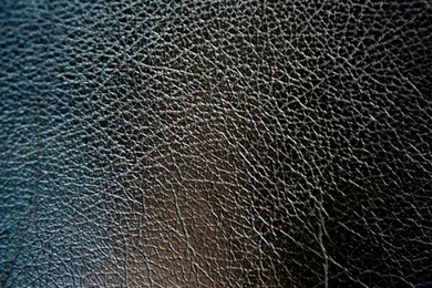 Download Texture: Leather Texture, Background, Leather Backgrounds ...