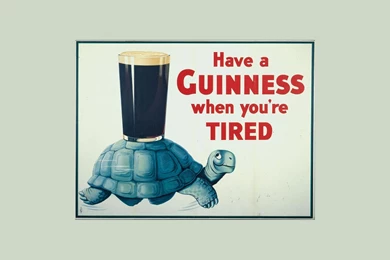 Guinness Turtle Tortoise Beer Alcohol Texts Wallpapers