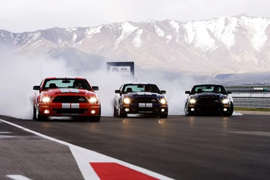 Start Moving Backrounds Shelby Ford Backgrounds : Full HD Desktop ...