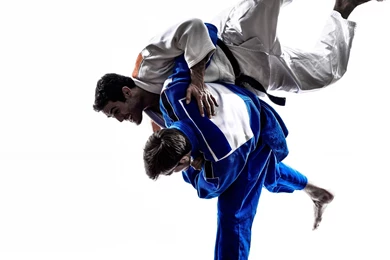 Download Wallpapers Judo, Fight, Training, Technique, Skill, Sports ...