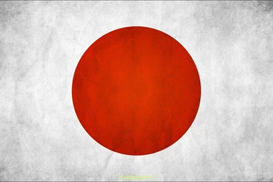 CCBC Judo Club – William Niebauer