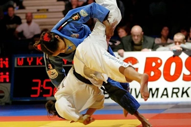 Judo Deborah Gravenstein 1024x768 Wallpapers, 1024x768 Wallpapers ...