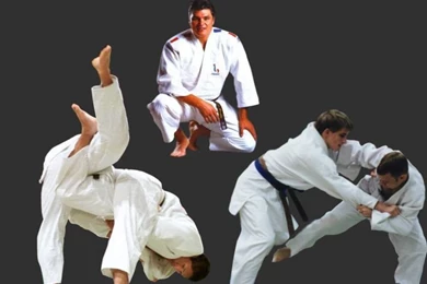 Wallpapers Sports   Leisures > Wallpapers Judo Judo By Babeth76 ...