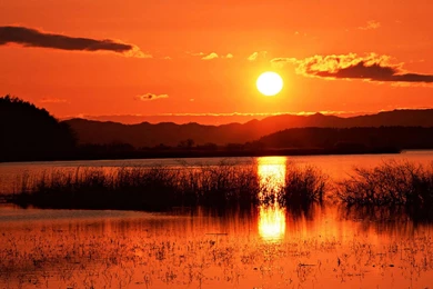 Orange Sunset Wallpapers HD   HD Images New