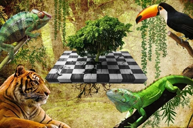 Organic Grunge Chessboard Wallpapers By Lelek83 On DeviantArt