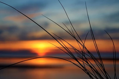 Sunset HD Wallpapers 1920x1080 (2)   Pleasantwalls.com