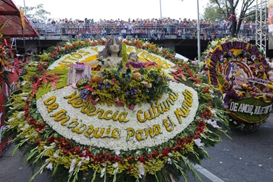 Cilleta Feria De Las Flores Colombia Wallpapers   (