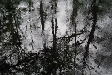 Best Rain Wallpapers 1080p Download  AtozWallpapers