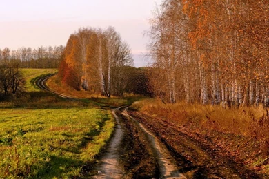1680x1050 Country Road In Autumn Desktop PC And Mac Wallpapers