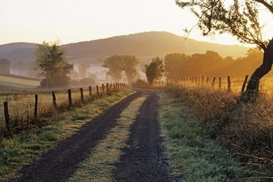 Animal Awesome Full HD Wallpapers Detail