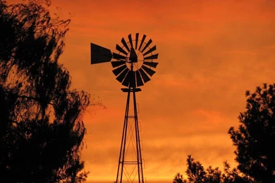 Free Amish Life Desktop Backgrounds   Wanda Brunstetter