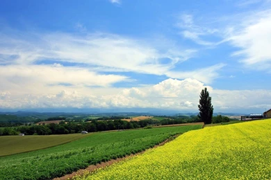 Japan Hokkaido Country Field : Open Field Under Sky1920*1080第33 ...
