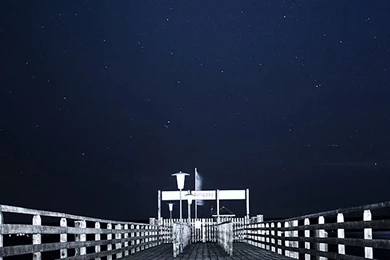 Cute Leaves Samsung Galaxy S4 S5 Wallpapers HD 1080x1920