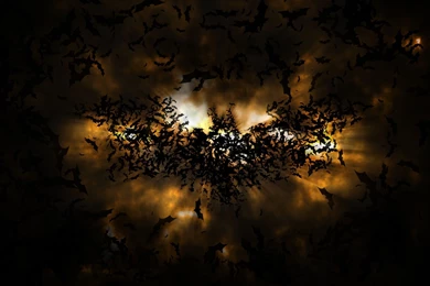 Samsung Wallpapers HD (21)