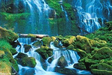 Nature Wallpapers Archives   Free Desktop Wallpapers, Wallpapers ...