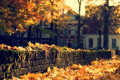 Fall HD Wallpapers   HD Wallpaper Backgrounds Of Your Choice