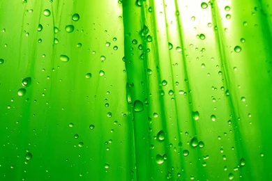 Download Texture: Leaf Green, Texture, Photo, Background, Download ...