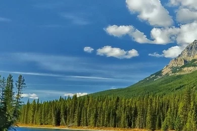 Nature Harmony iPhone 5s Wallpapers Download