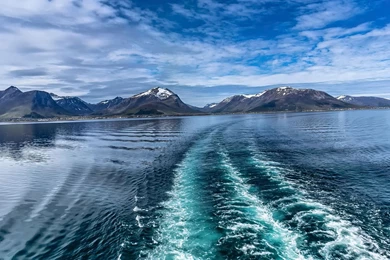 Hd Nature Wallpapers, Green, Nature Of Wallpapers, Plants, Organic ...