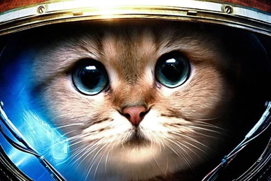 StarCraft II Twitter Cover & Twitter Backgrounds