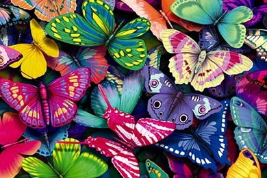 Colorful Shapes Wallpapers Hd Wallpapers