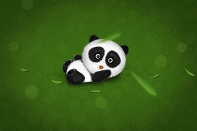 Panda Bear Wallpapers HD Backgrounds Download Desktop • IPhones ...