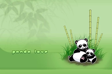 Panda Love Art Funny Hd Wallpapers   (