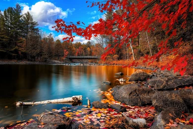 Fall Wallpapers Designs 13642   HD Wallpapers Site
