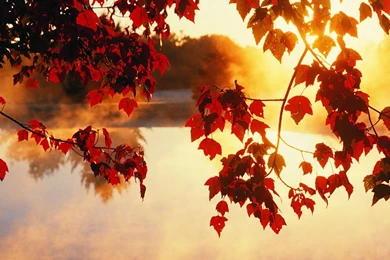 Download Autumn Tumblr Wallpapers Free