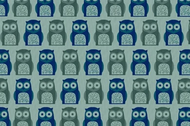 Blue Owl Wallpapers
