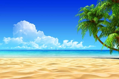 Tropical Beach Backgrounds