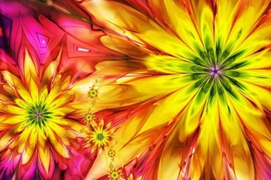 Bright, Flowers, Colorful, Abstraction Wallpaper, Backgrounds 22733