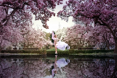 Desktop Wallpapers Spring Viewing Gallery