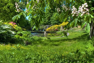 Spring Garden Desktop Wallpapers ~ Toptenpack.com